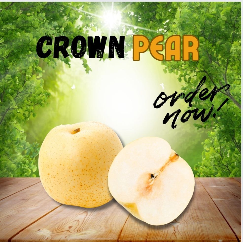 CROWN PEAR_0