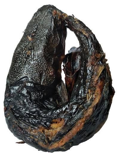 Dry Fish_0