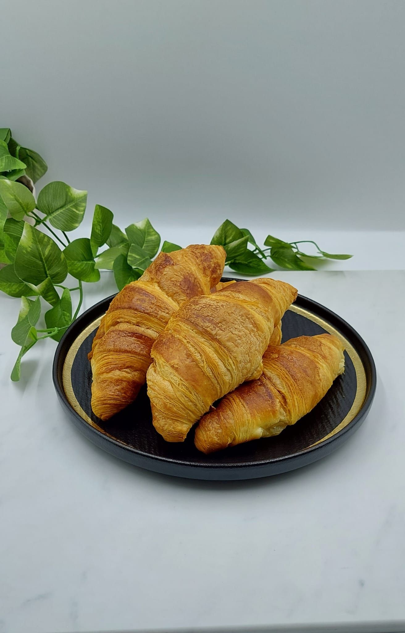 Plain Croissant_0