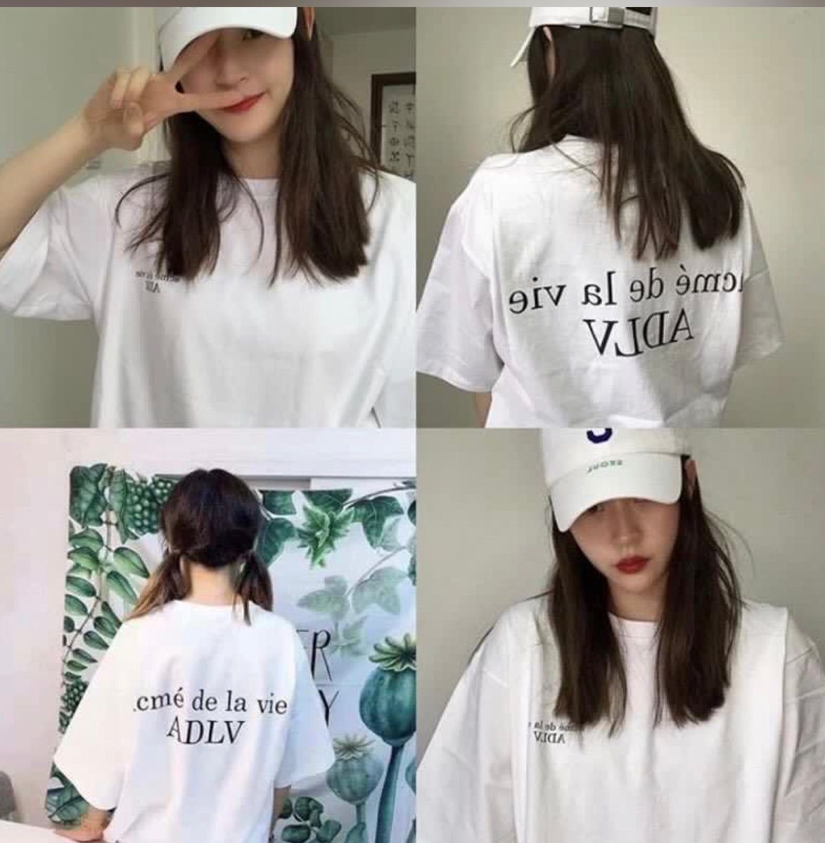 ADLV Signature Basic_5