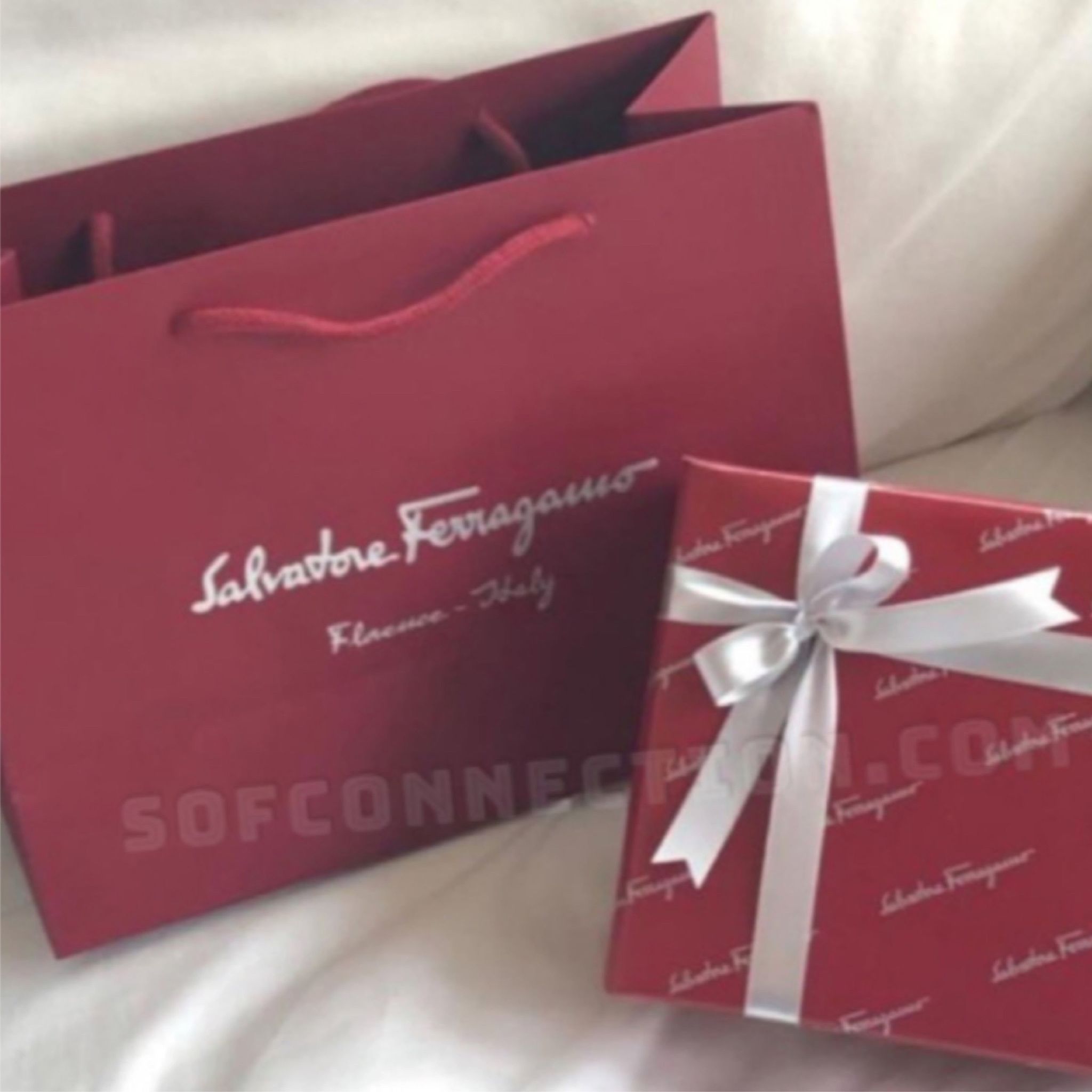 [6cc Card Wallet #66-A302] Salvatore Ferragamo Silver Double Ganchini_5