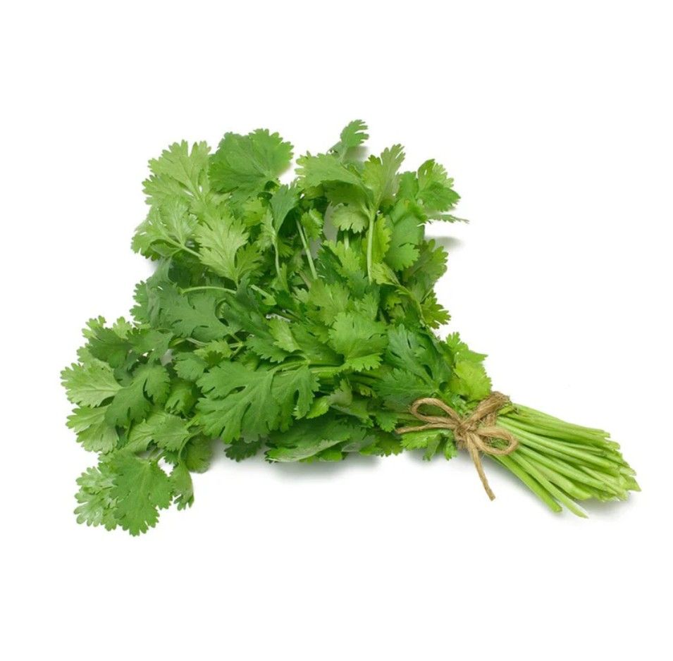 Dhania (cilantro)_0