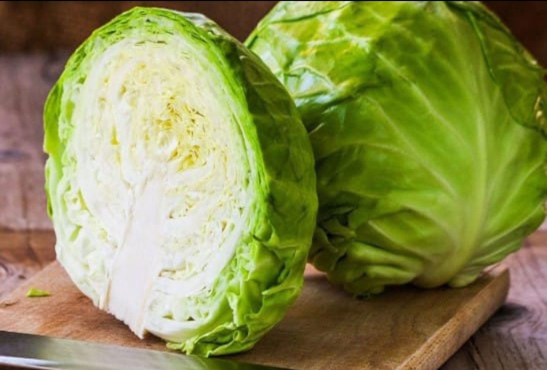  Cabbage _0