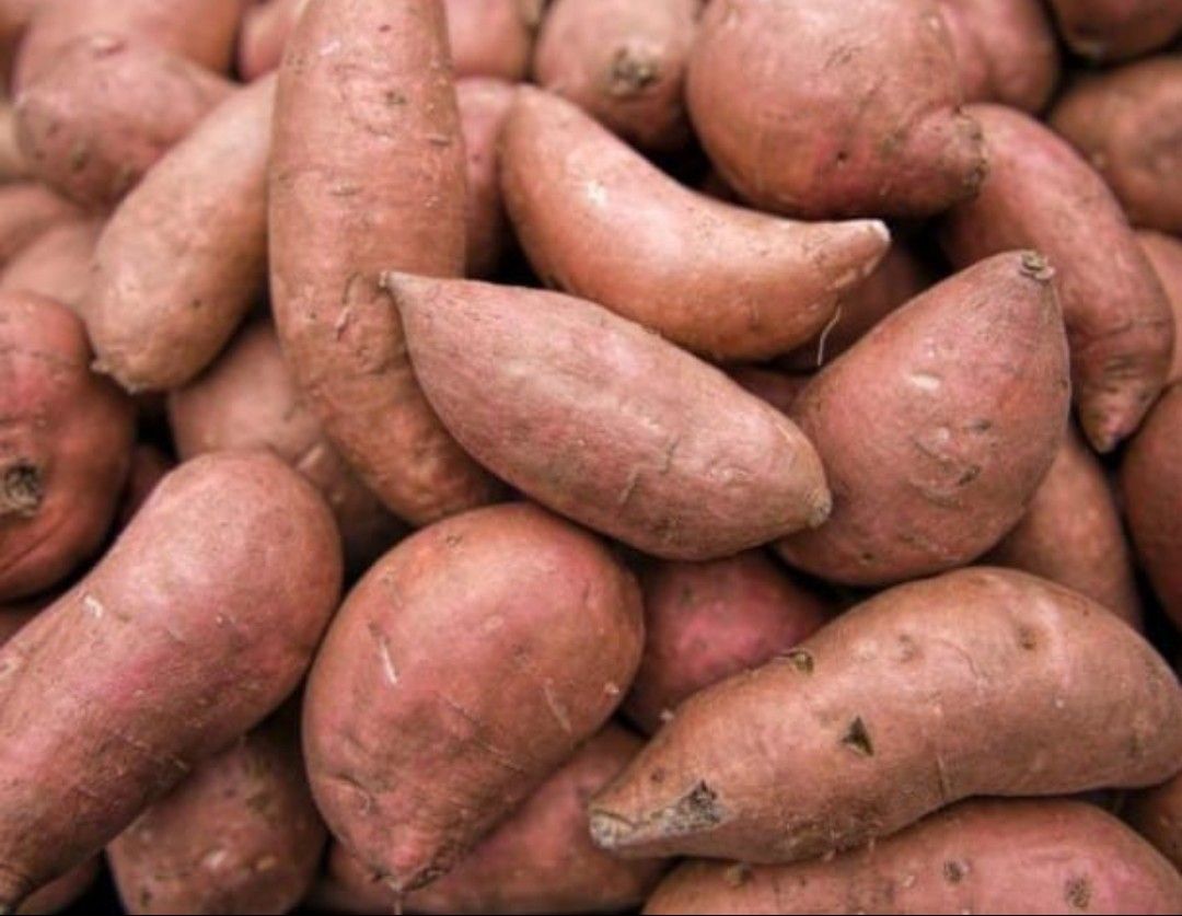 Local Sweet potatoes _0