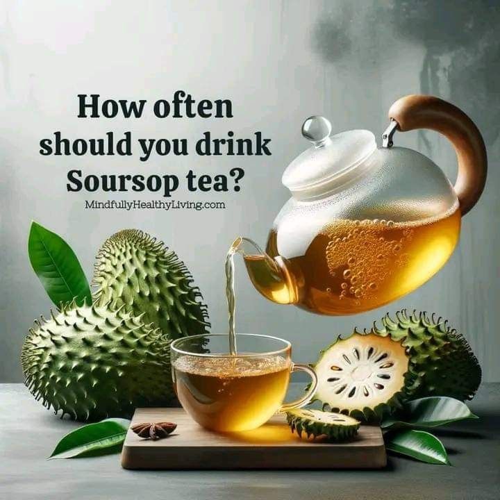 Soursop _1