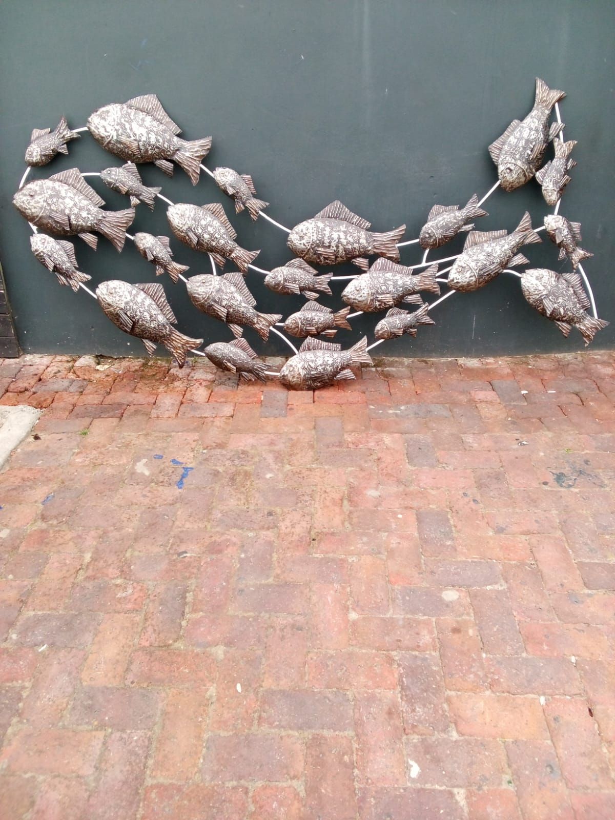 Shoal of fish_0