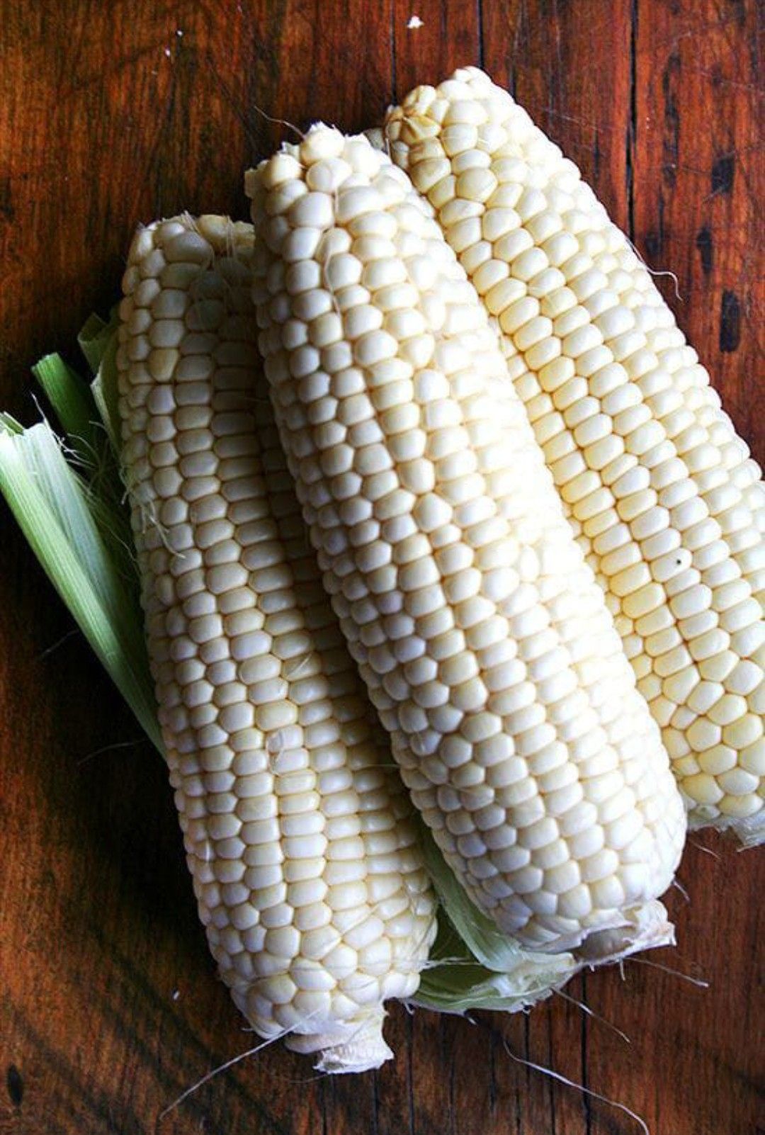 Corn/maize_0