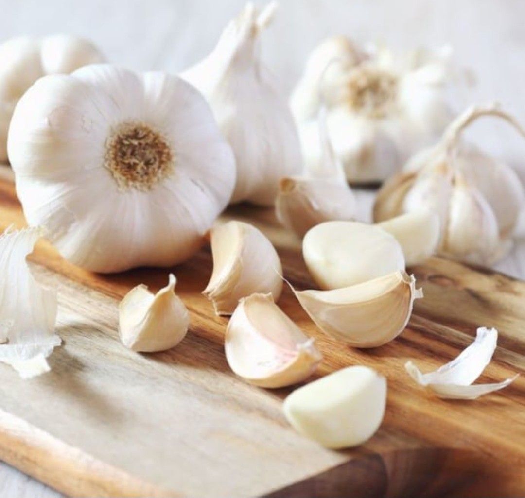 Garlic _0