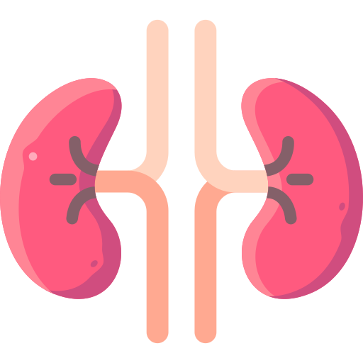 Renal Function Test _0