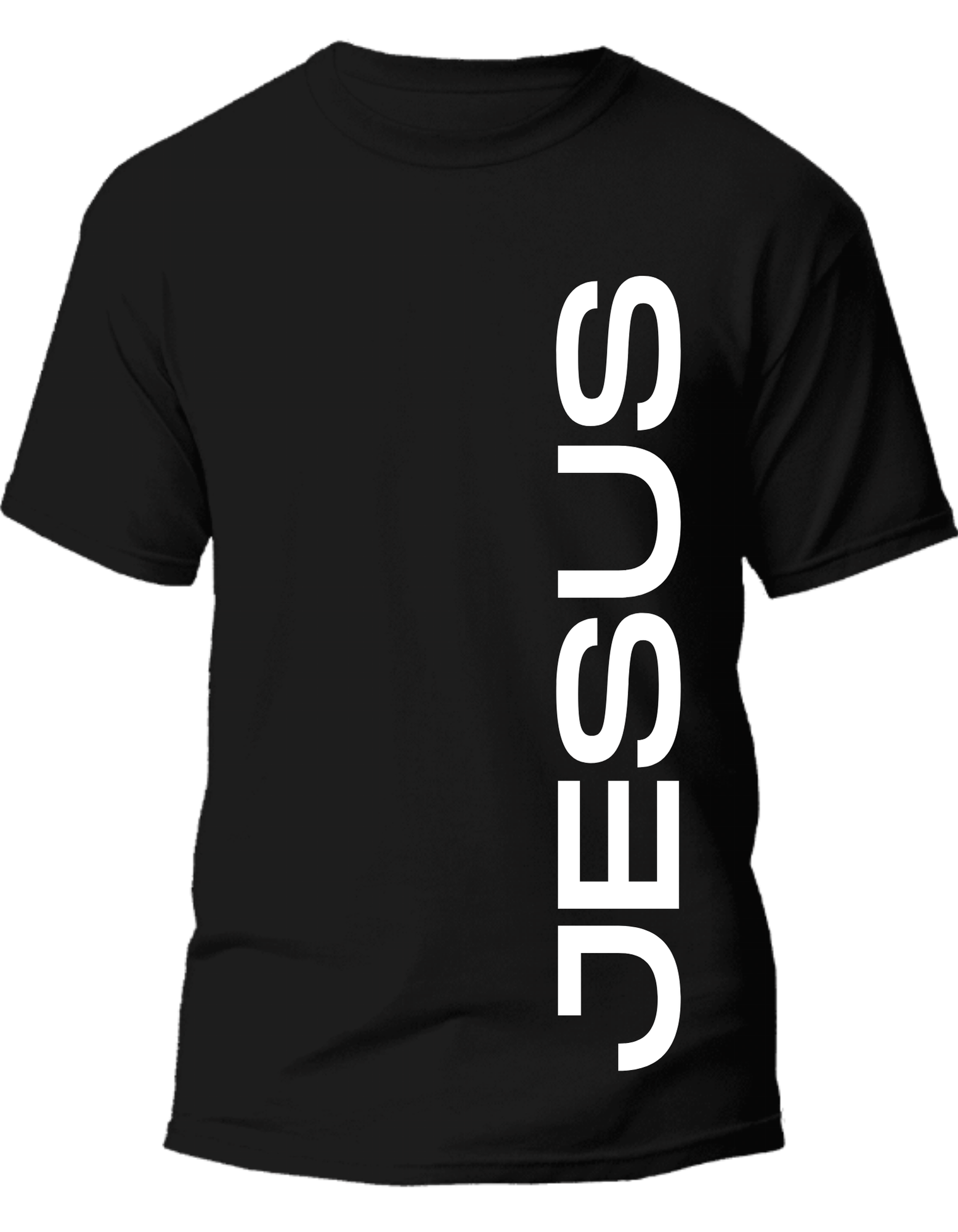 Jesus our Savior_0