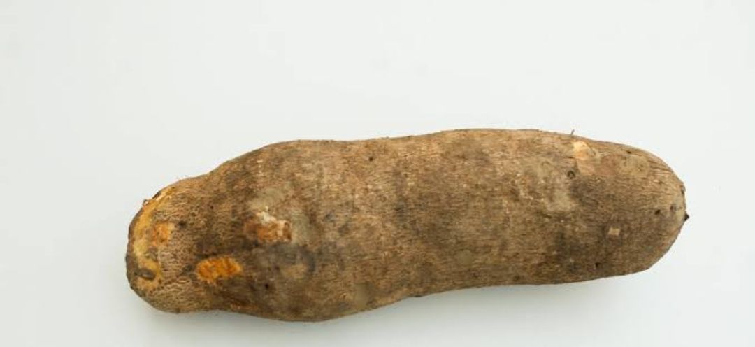 Yam medium 1 tuber_0