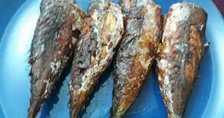 Fried Titus Fish_0