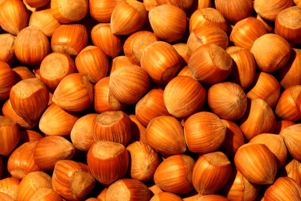 Hazelnuts_0