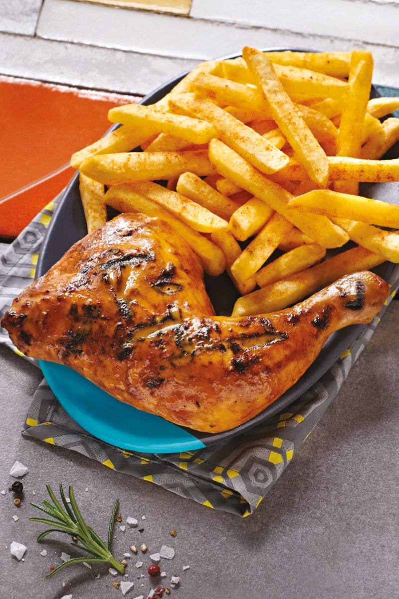 Chicken/Turkey with Fries_0