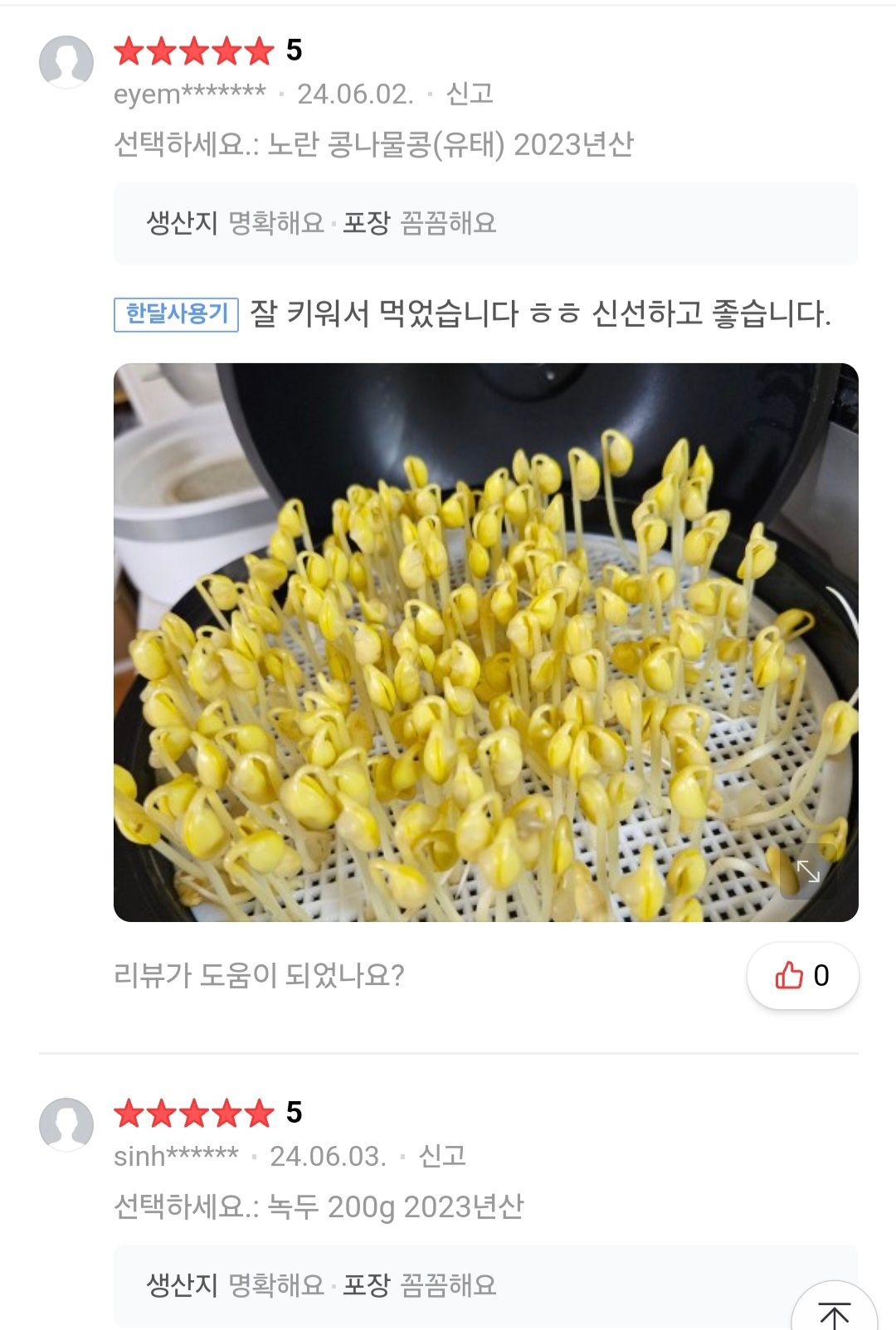 24년 햇콩나물 콩 500g_1