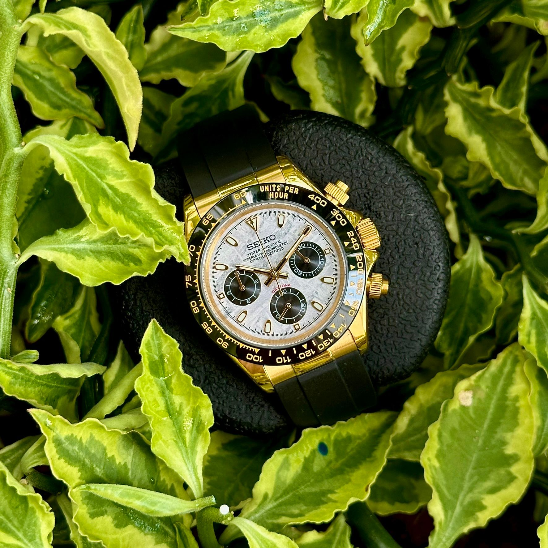 Oysterflex Gold Meteorite Daytona_0