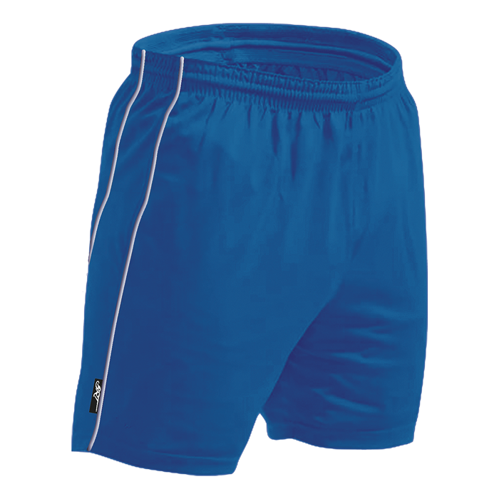 BRT Reflect Shorts_3