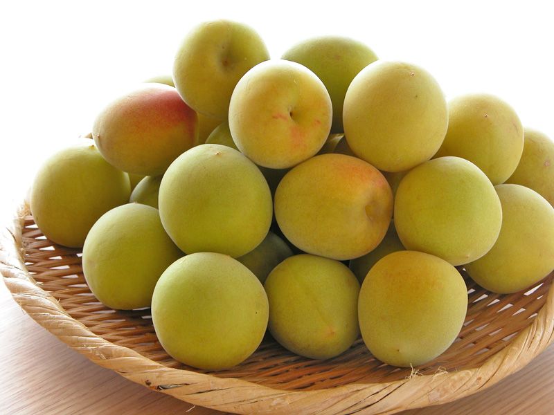 sakuna 南高梅　10kg ３Ｌ 和歌山南高梅10kg 秀3L Wakayama Nanko Plum 10kg 3L - Superfood