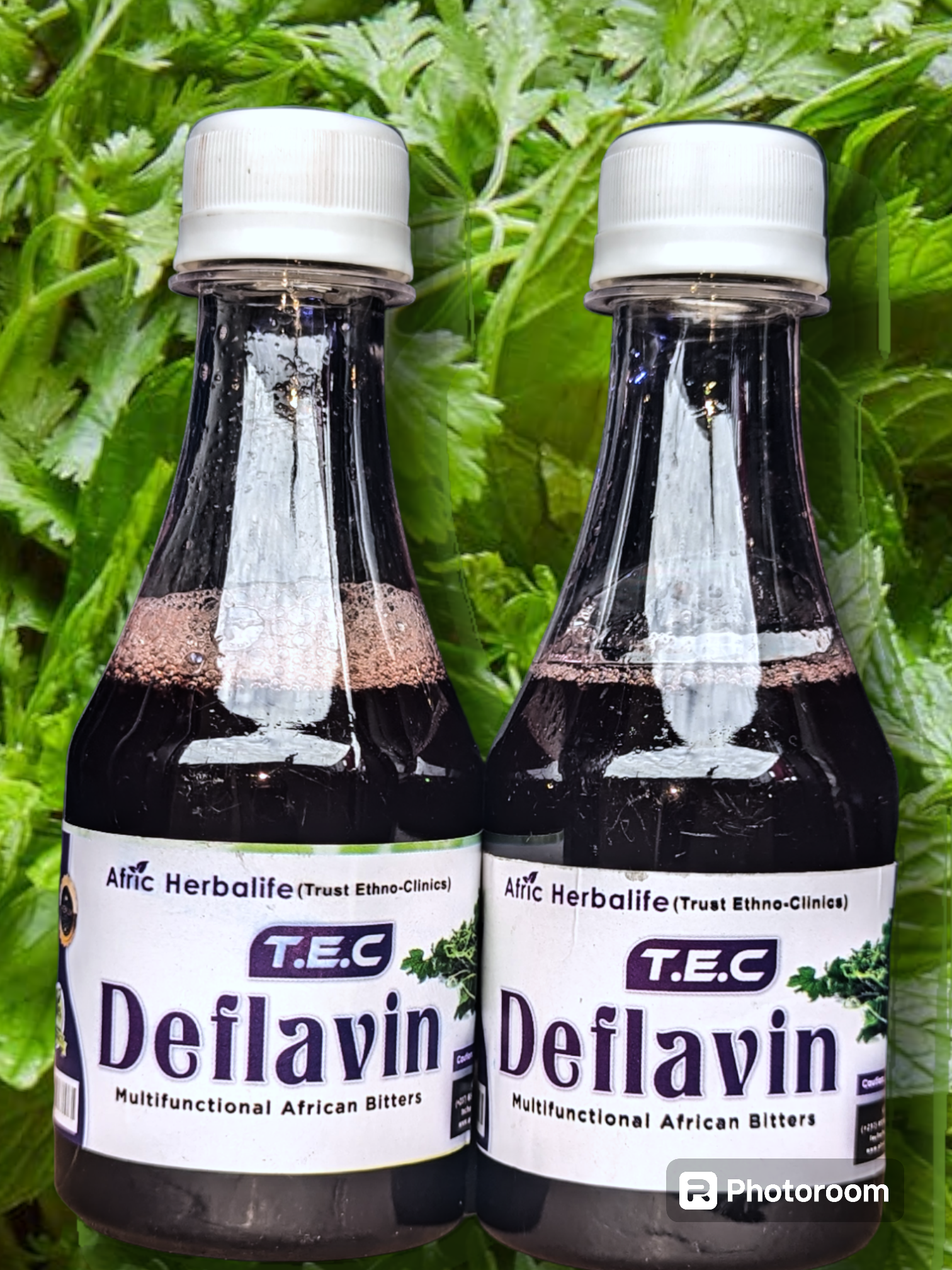 Tec DEFLAVIN _2