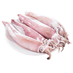 SQUID (KANAVAI FISH) - CLEANED (700G TO 800G)_0