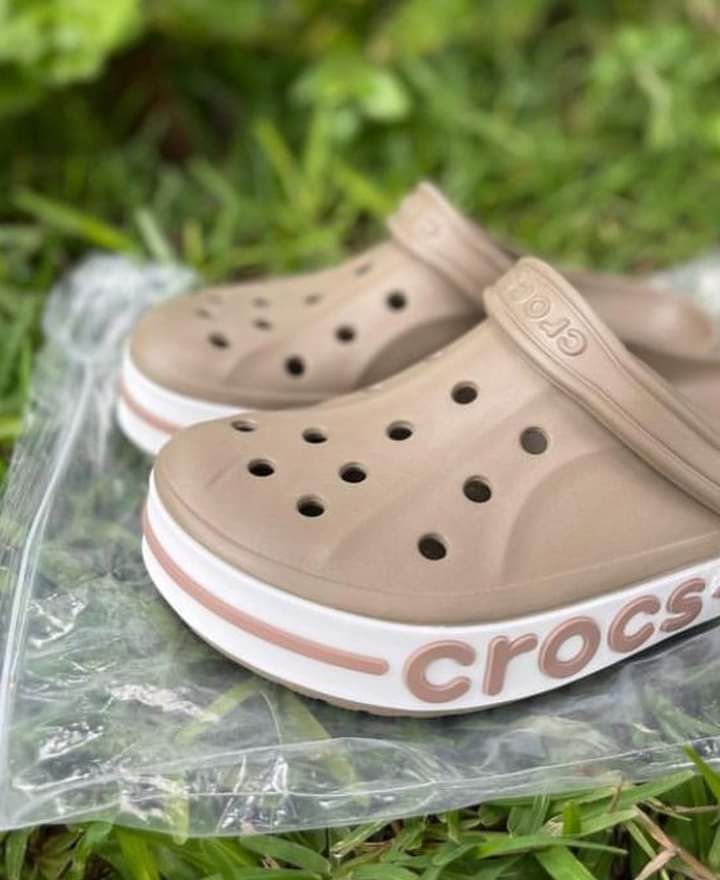 Crocs🐊_2