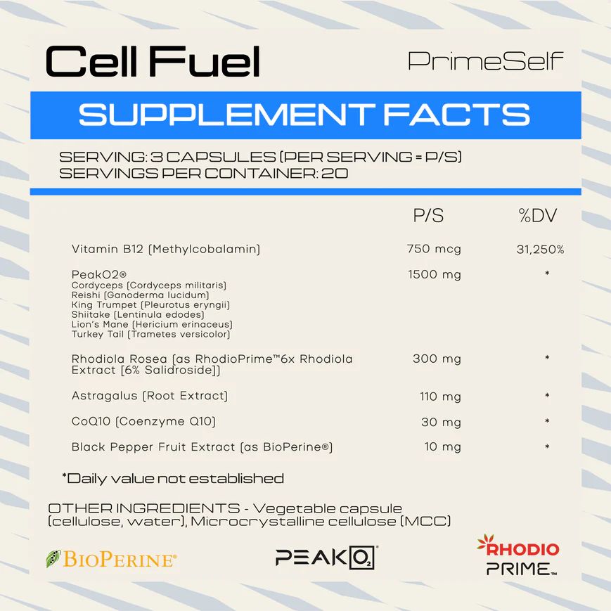 Cell Fuel_1