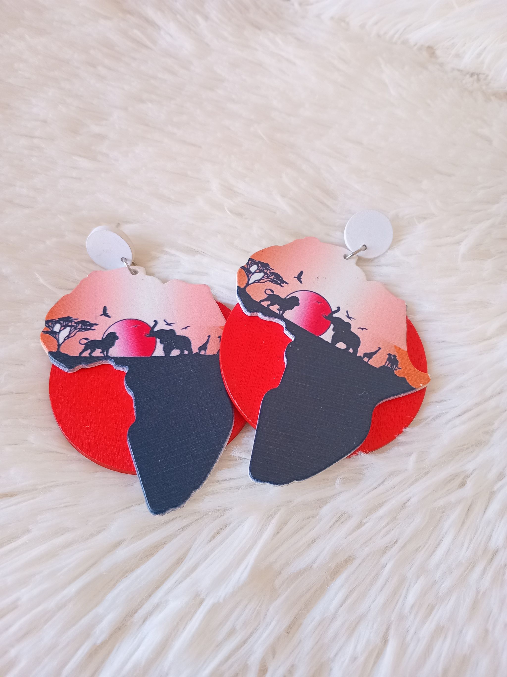 Africa round earrings _0