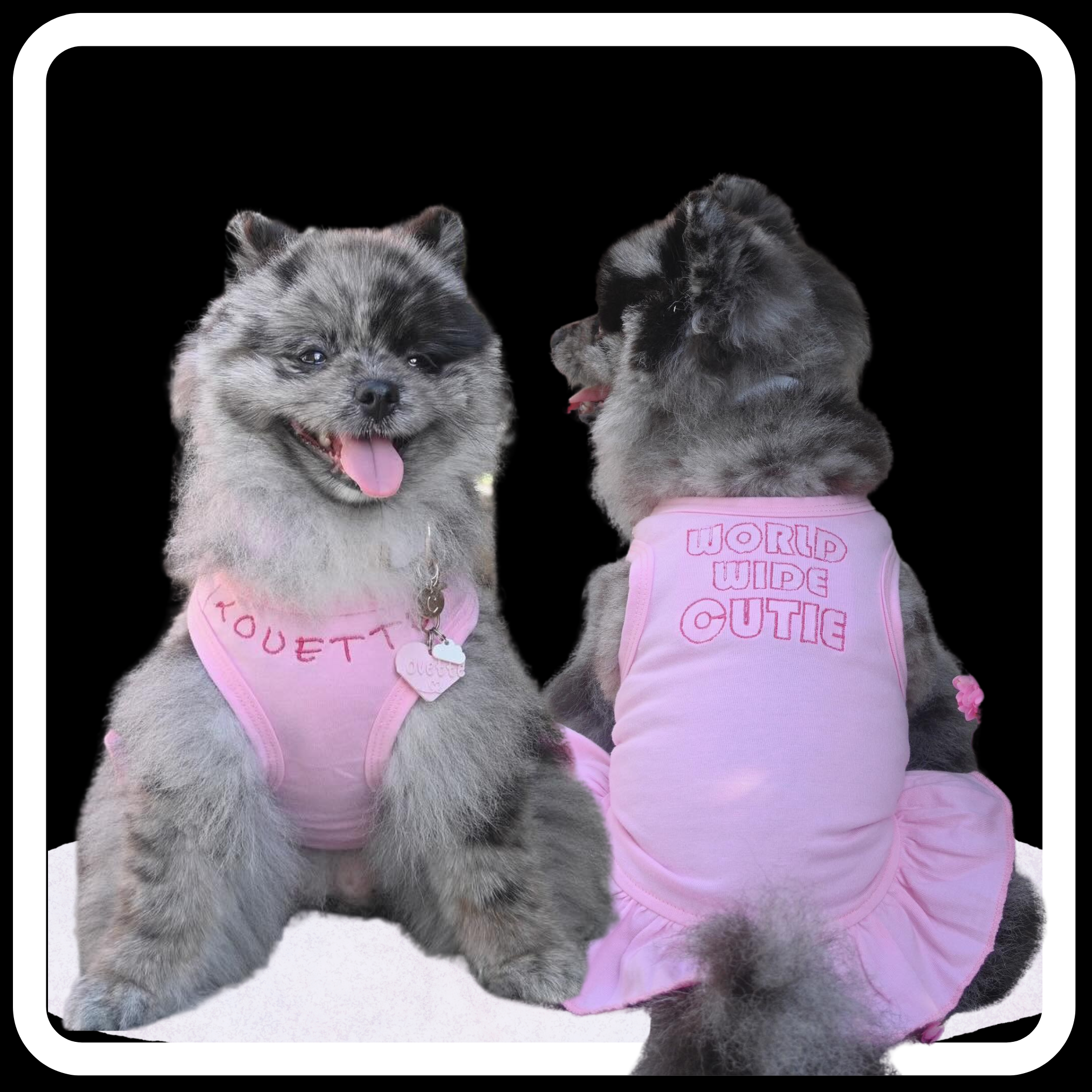 Custom Your Pet Chio Embroidery T shirt dress_0