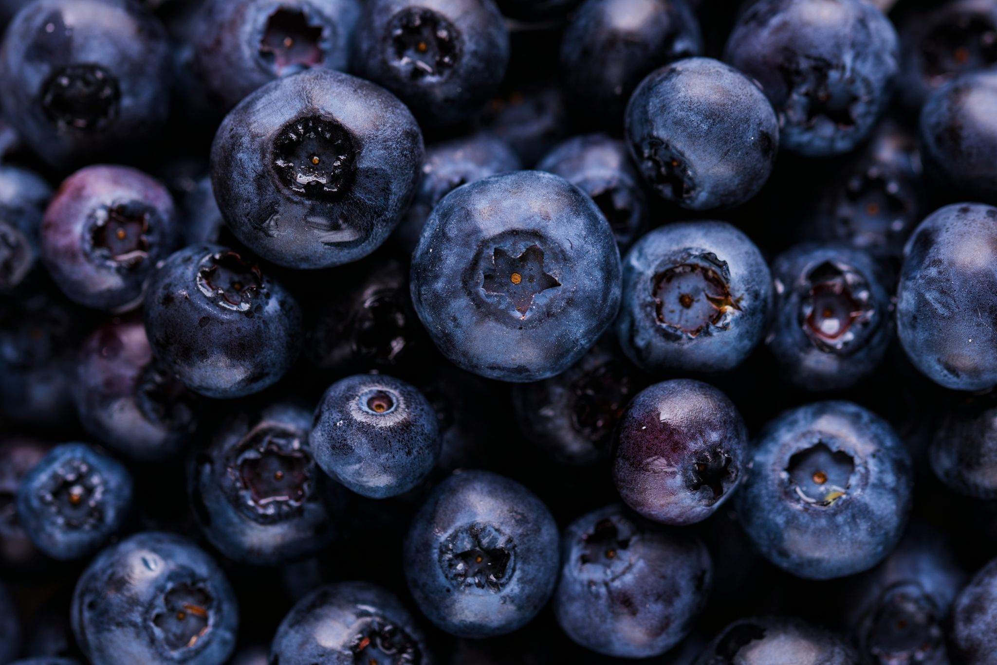 Blueberries _0