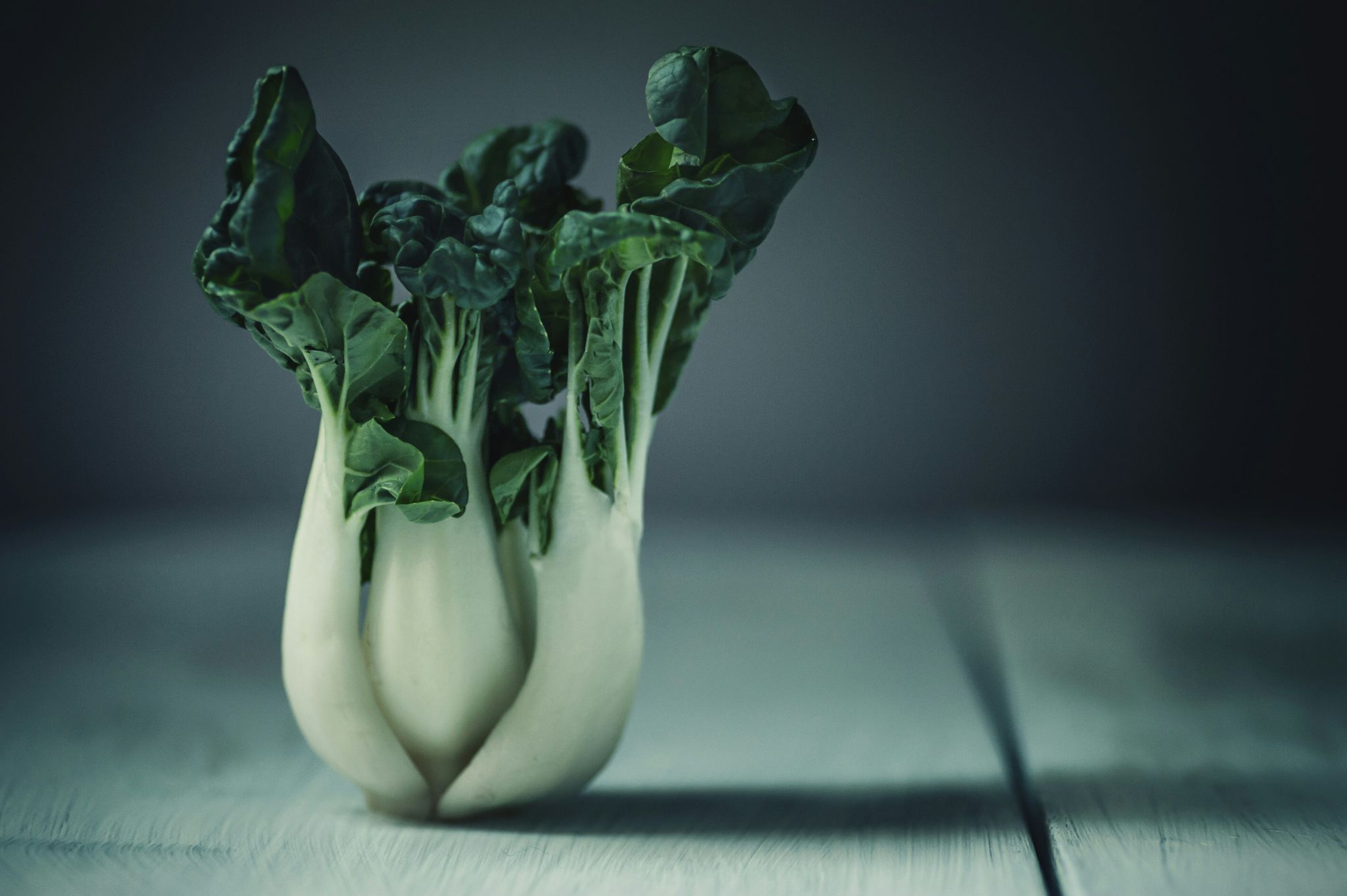 Bok Choi_0