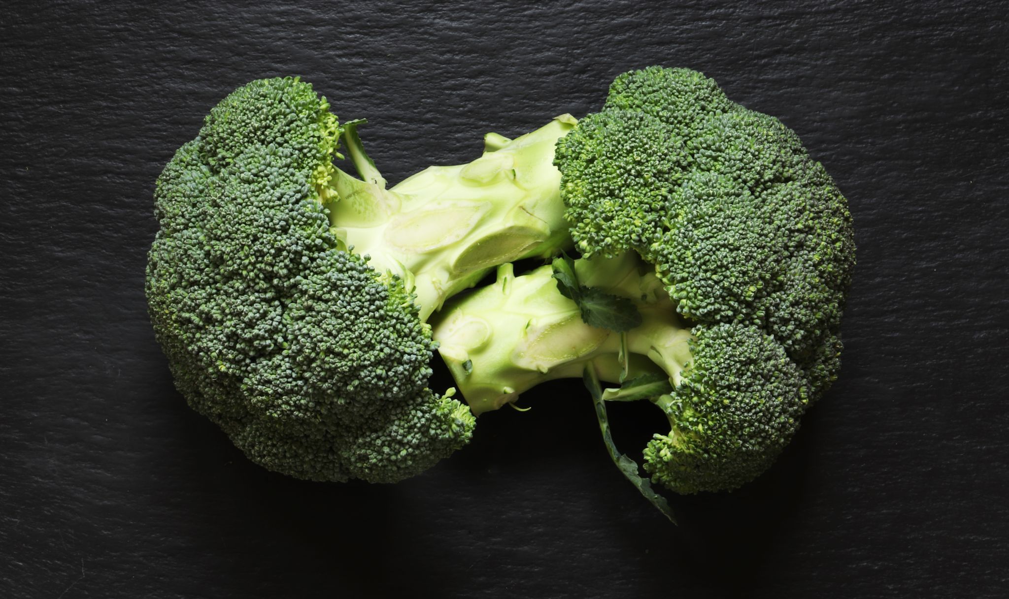 Broccoli _0