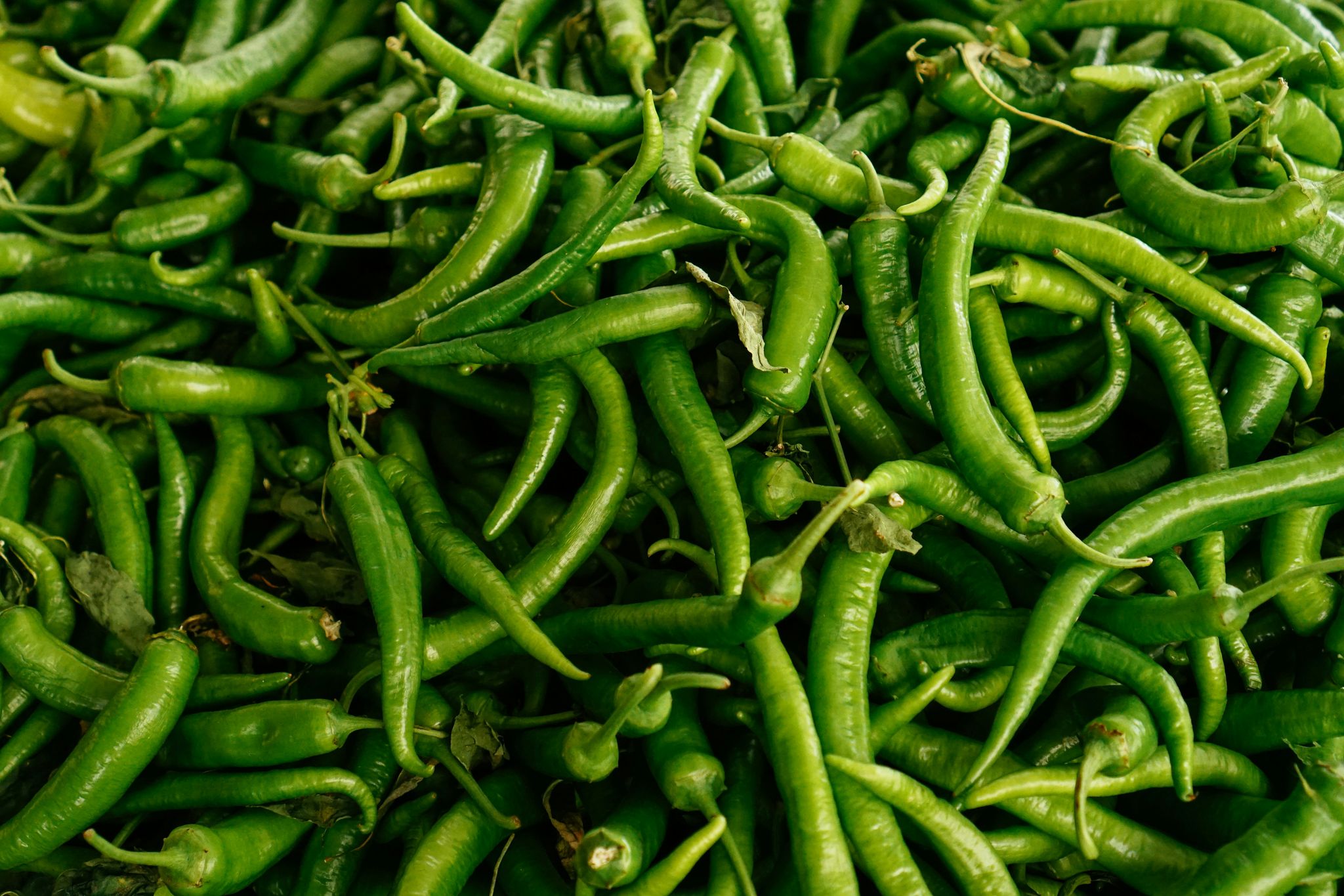 Chillies, Green_0