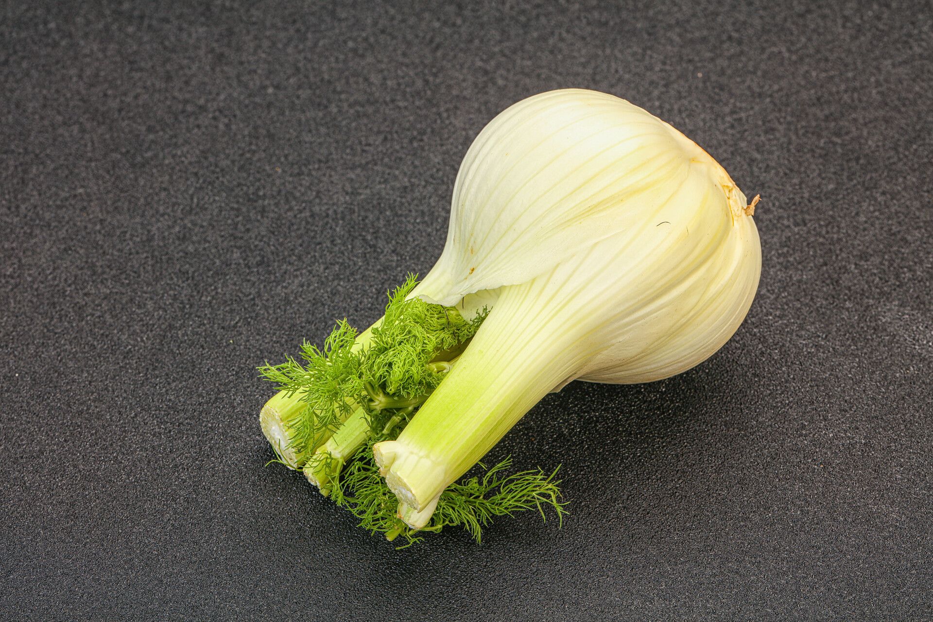 Fennel, Bulbs_0