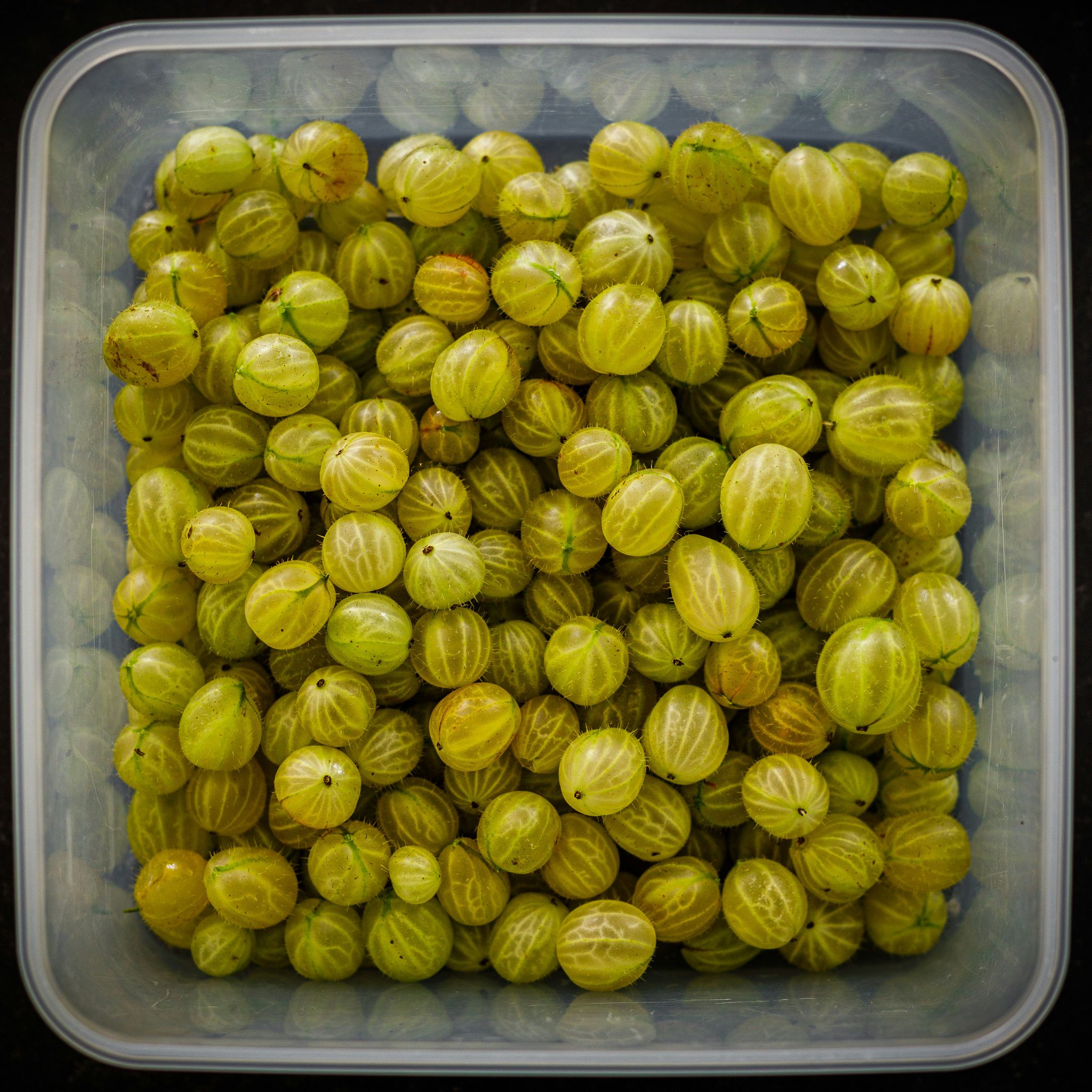 Gooseberries_0