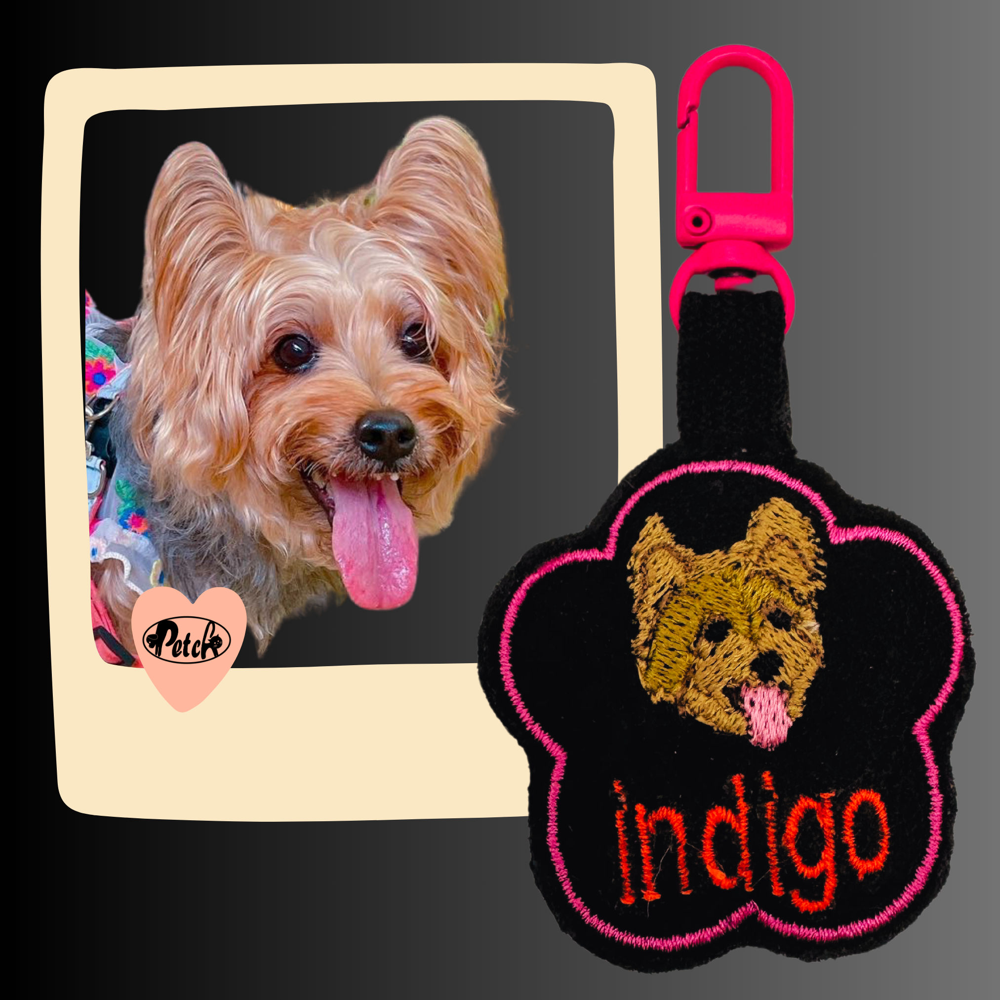 Make Pet ID Tag Fancy_1