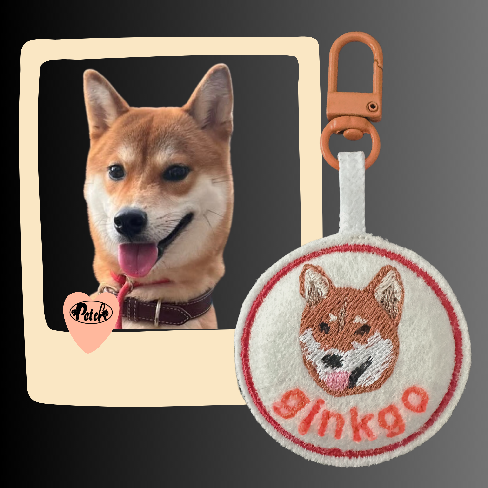 Make Pet ID Tag Fancy_2