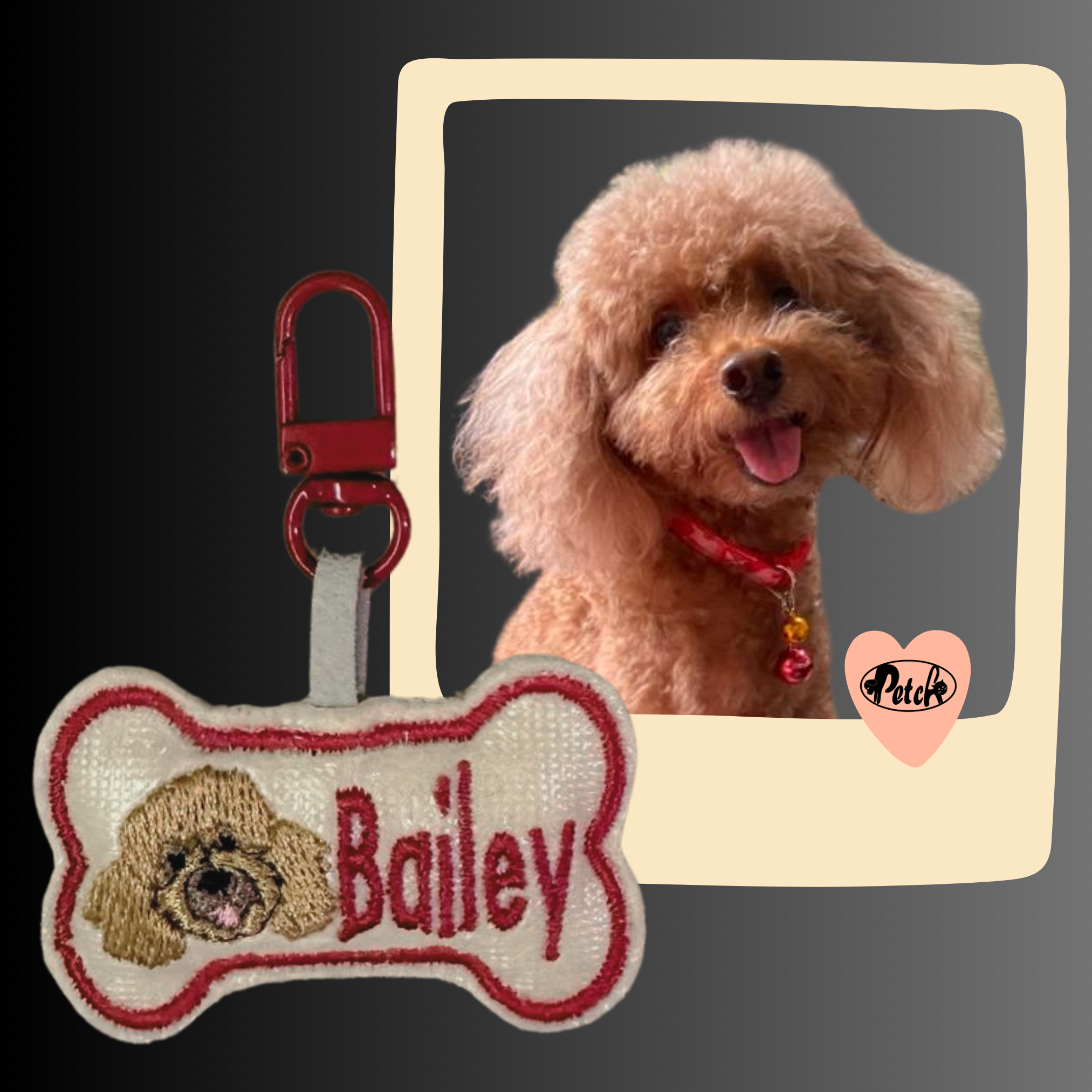 Make Pet ID Tag Fancy_4