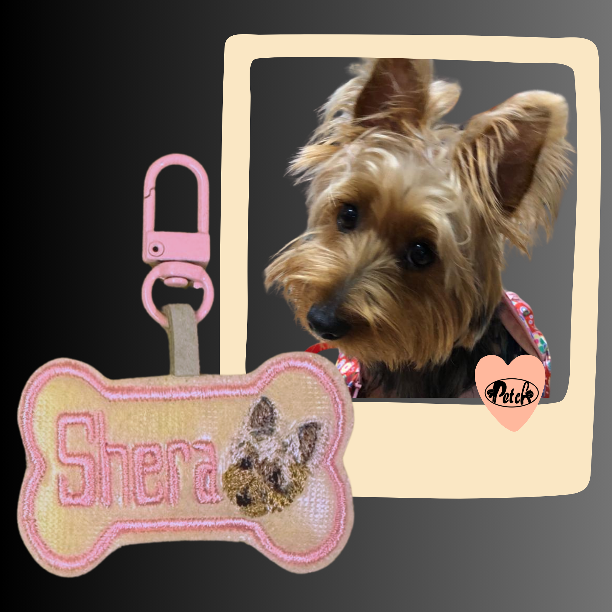 Make Pet ID Tag Fancy_5