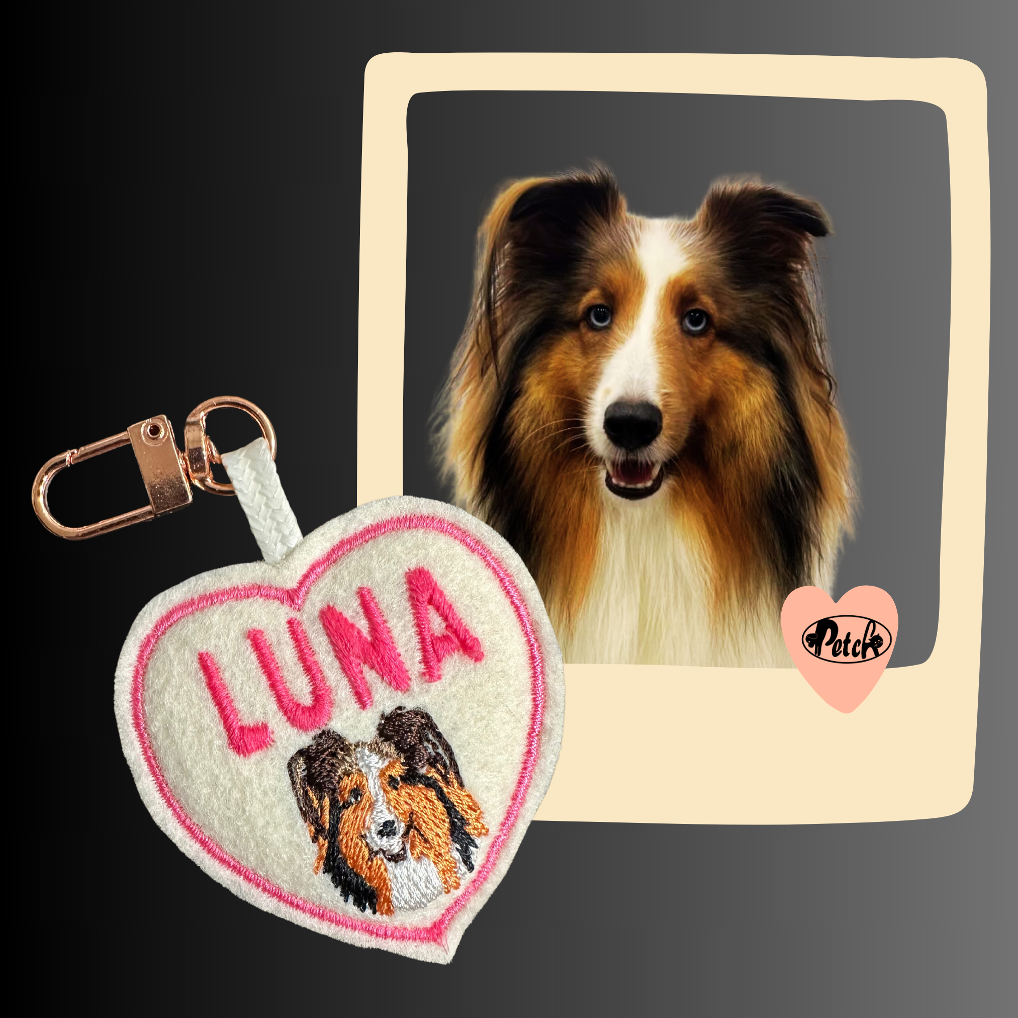 Make Pet ID Tag Fancy_3