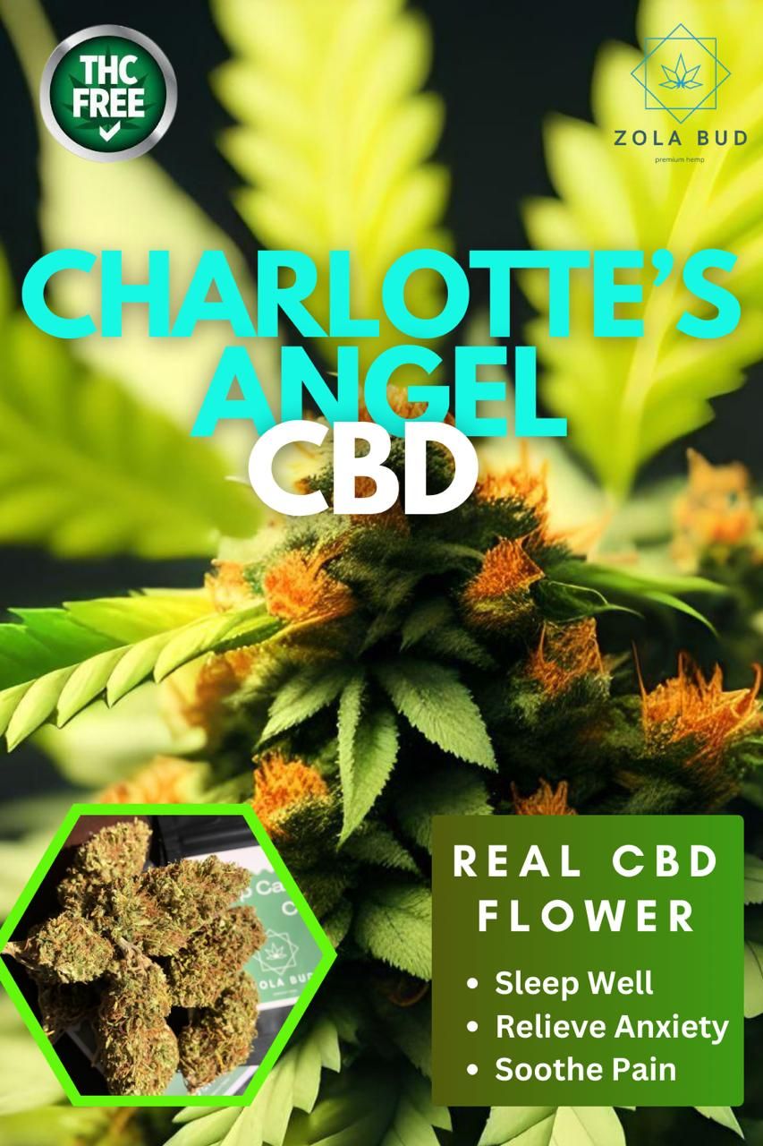 Zola Bud Charlotte's Angel CBD_0