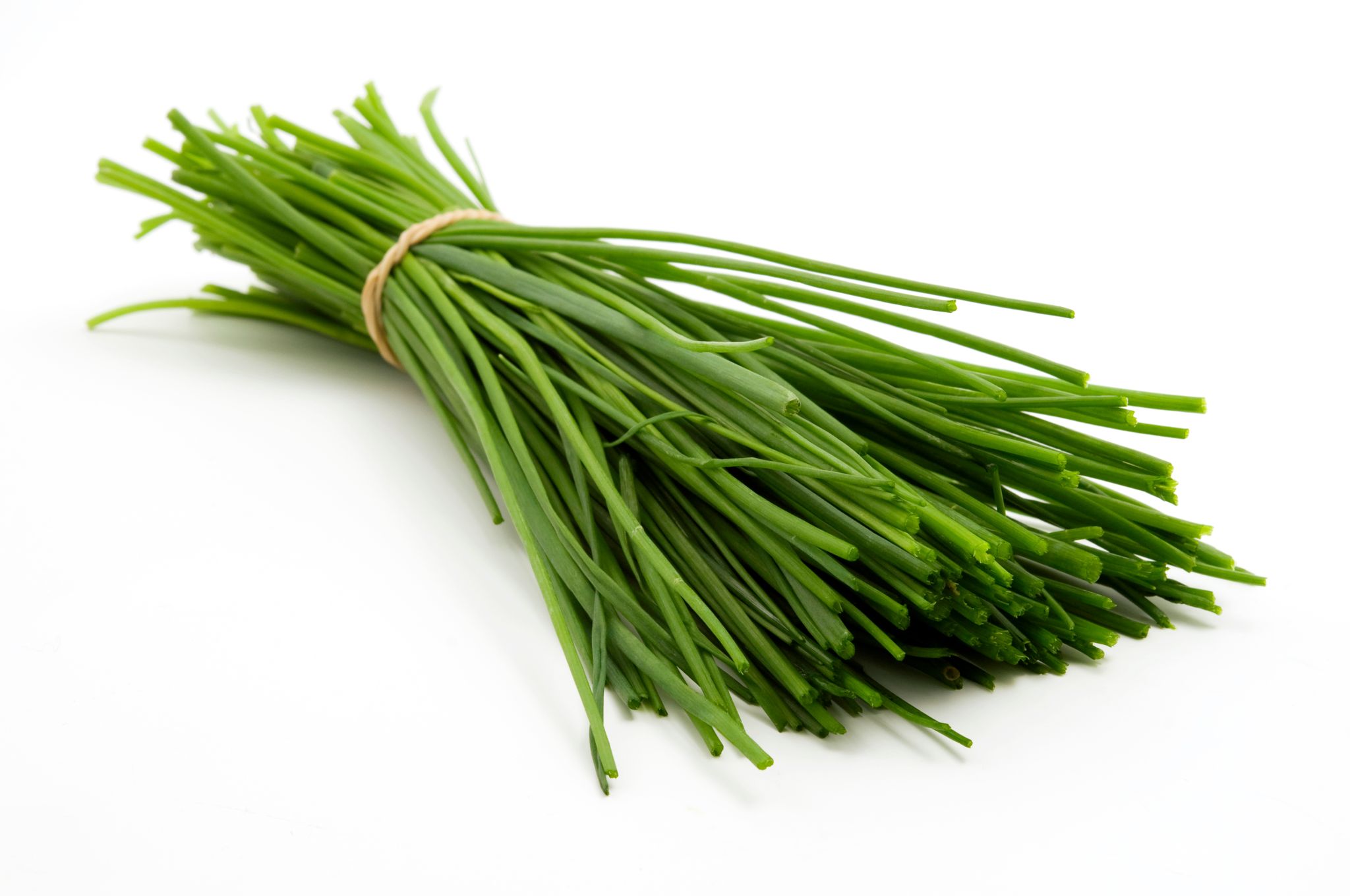 Chives, Bulk_0