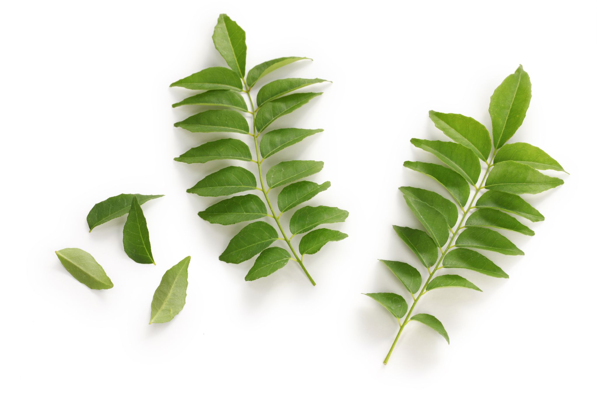 Curry Leaves_0