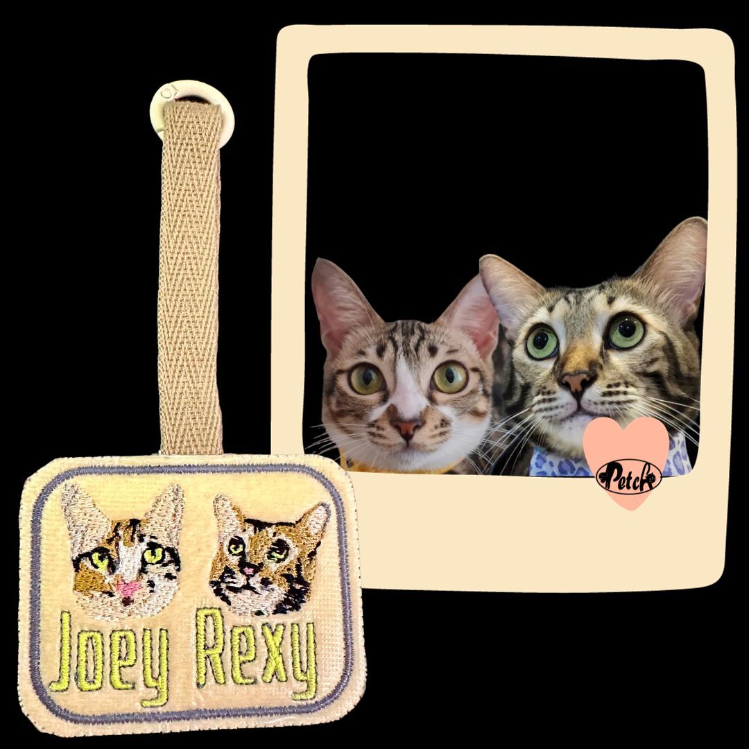 Pet Bag Tag Fancy_3