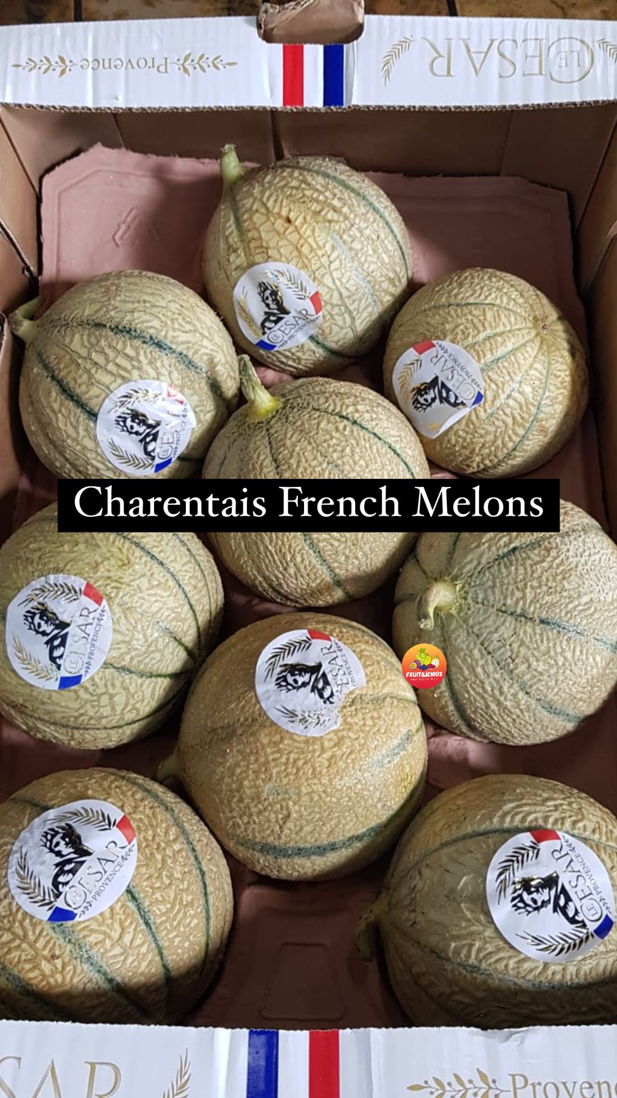 FRANCE CHARENTAIS MELON_2