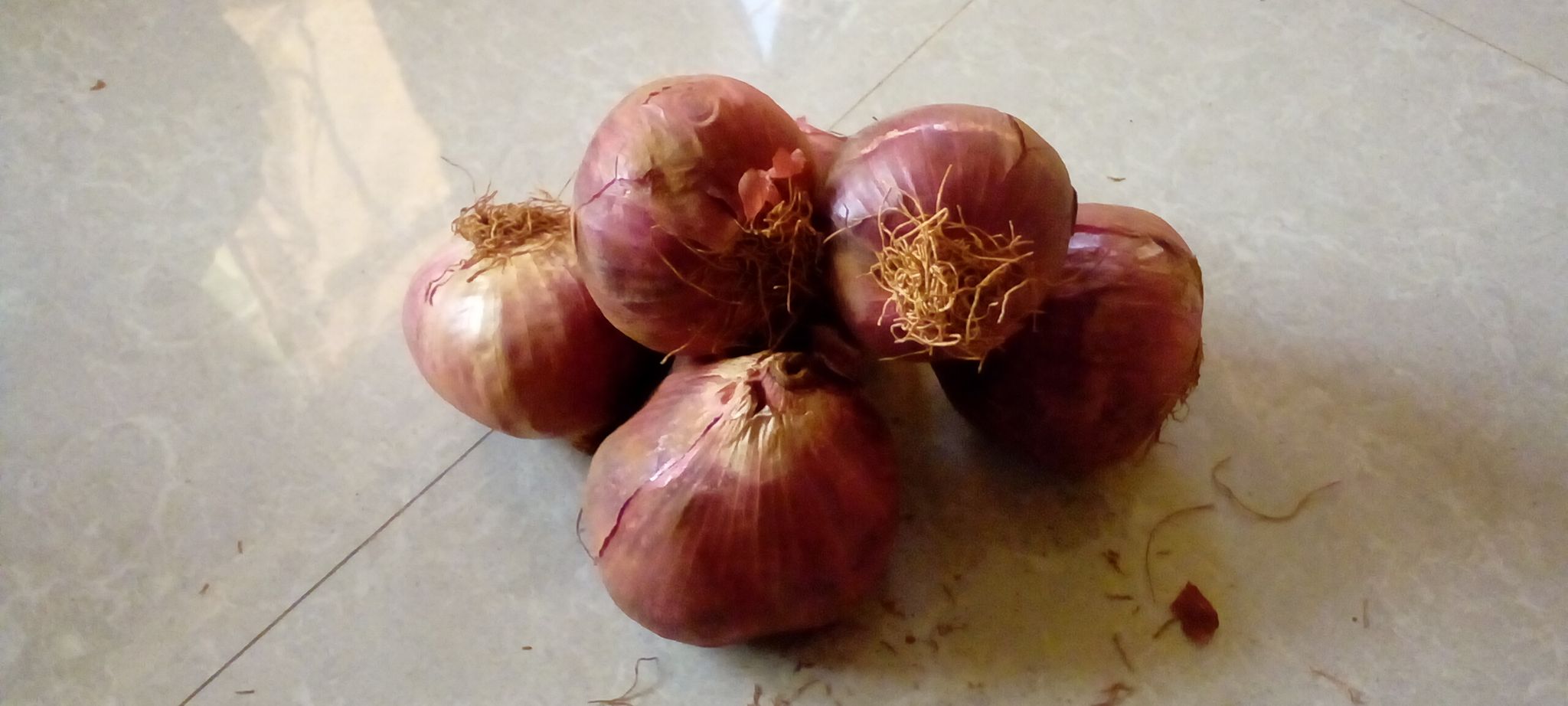 Onion _0