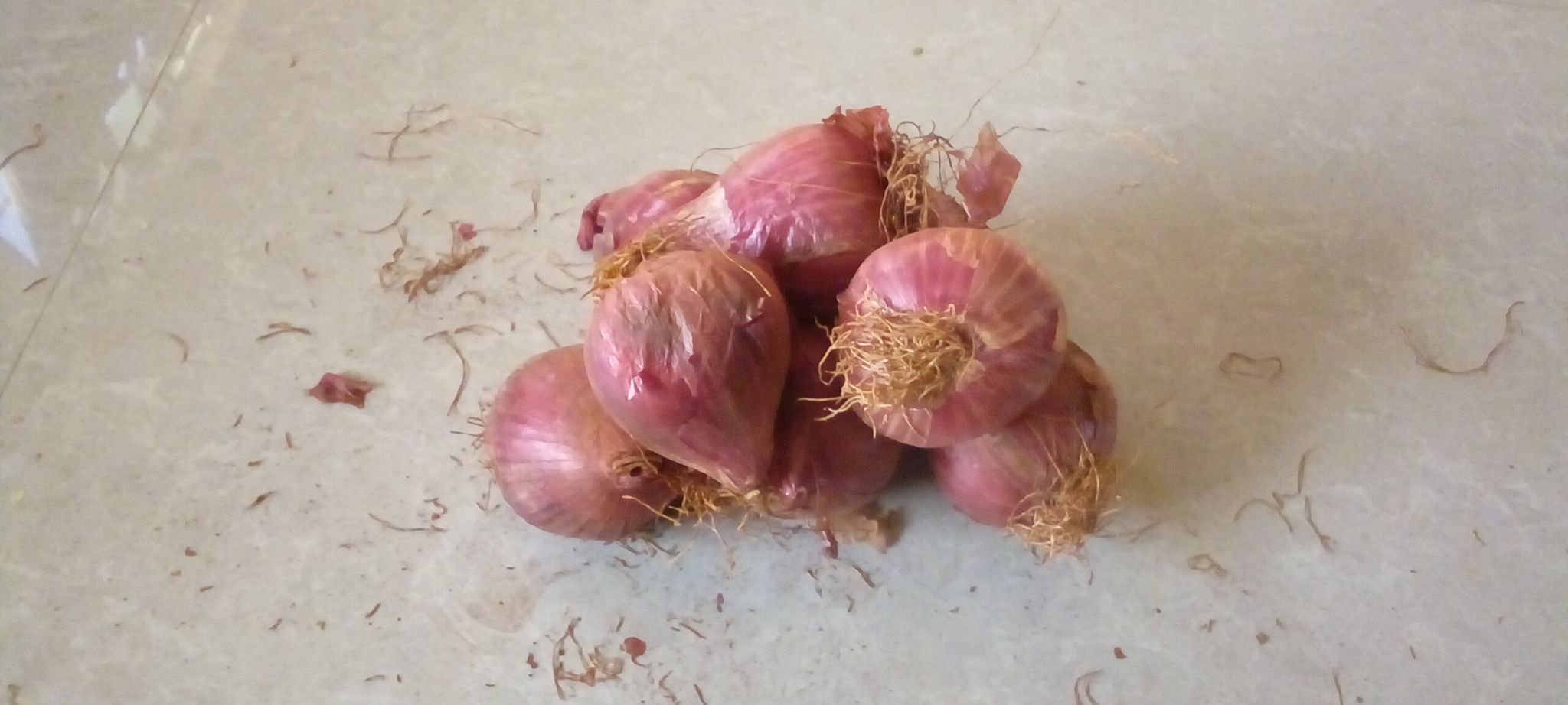 Onion _1