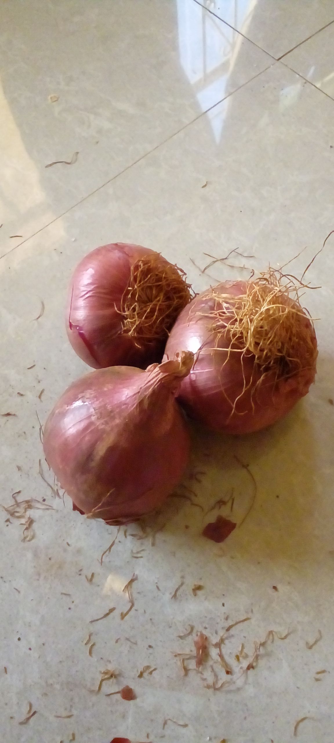 Onion_0