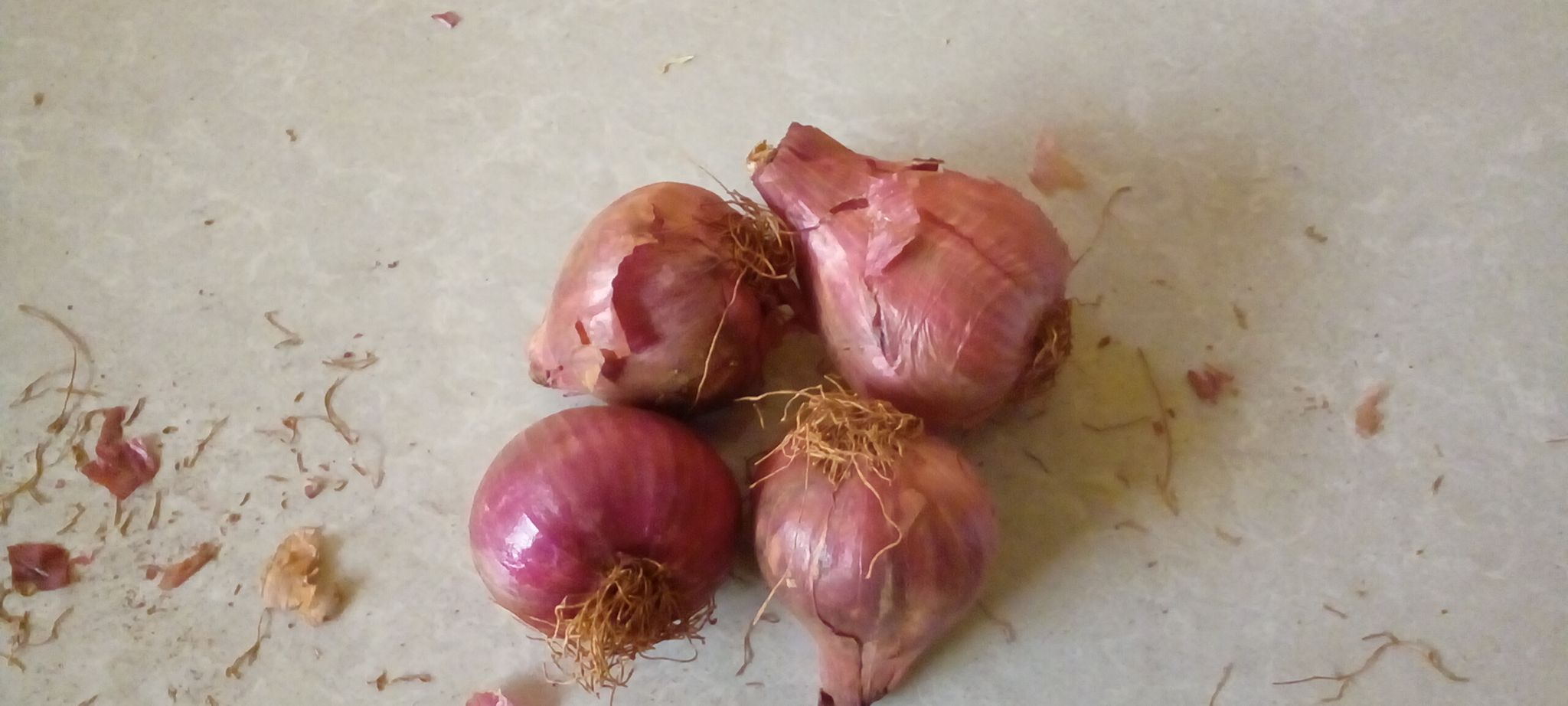 Onion_1