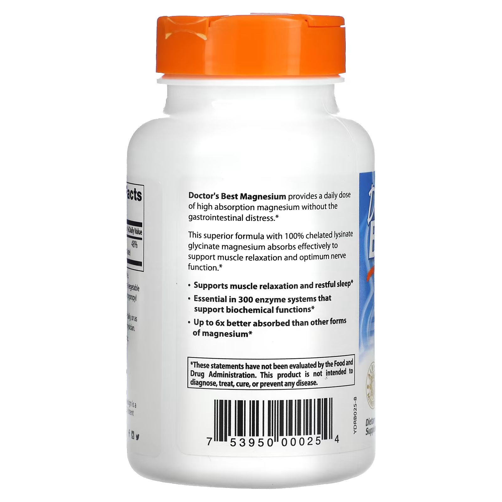 High Absorption Magnesium, 100 mg_1