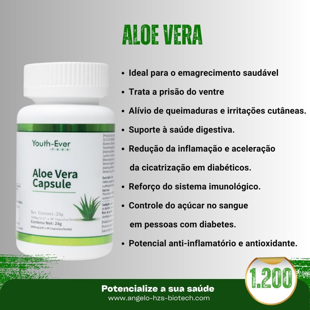 Aloe Vera_0